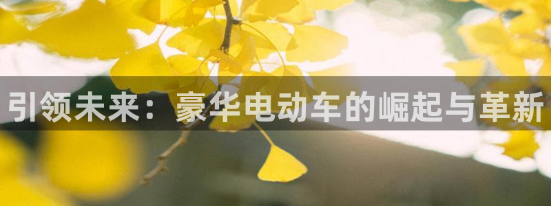 新宝测速gg:引领未来:豪华电动车的崛起与革新