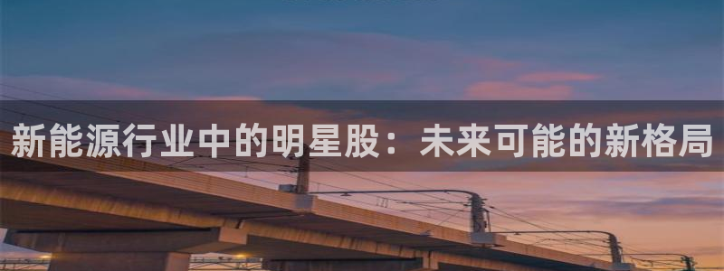 新宝GG以355051:新能源行业中的明星股:未来可能的新格