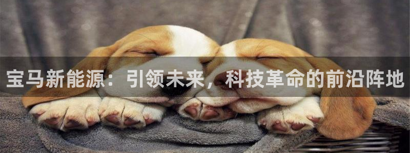 收新宝gg:宝马新能源:引领未来,科技革命的前沿阵地