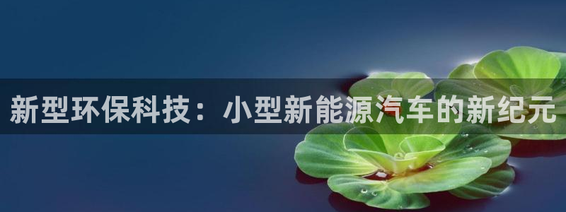 新 宝gg:新型环保科技:小型新能源汽车的新纪元