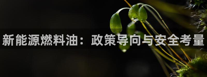 gg新宝创新:新能源燃料油:政策导向与安全考量