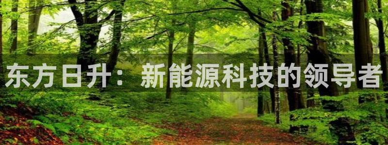 新宝gg直属上级