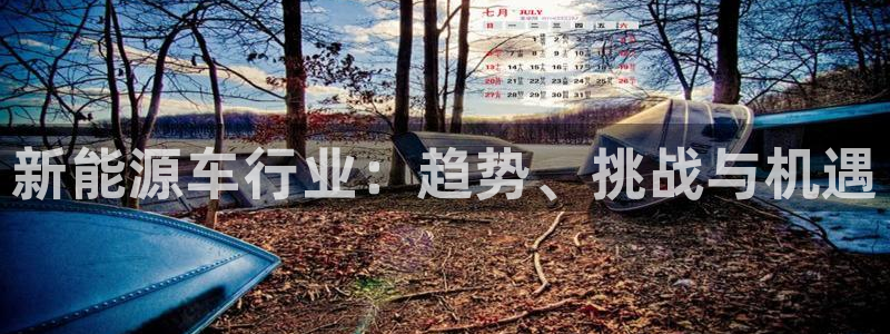 下载新宝gg：新能源车行业：趋势、挑战与