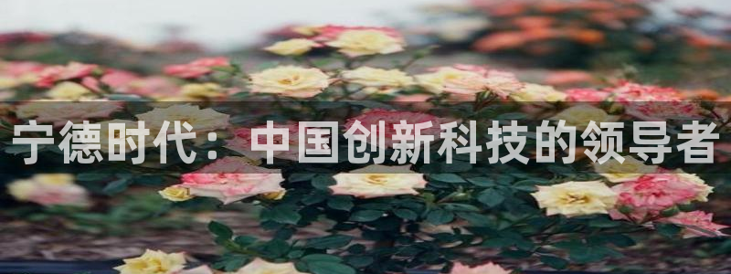 新宝gg主管baidu：宁德时代：中国创