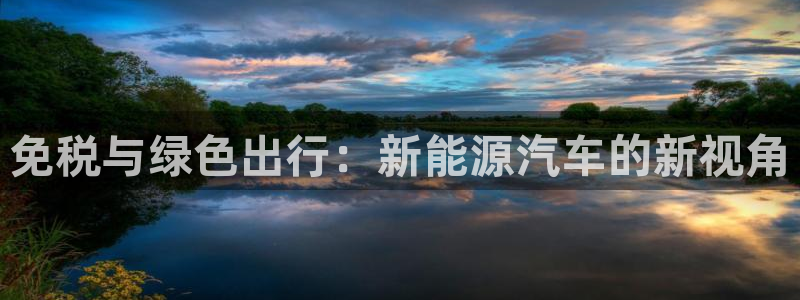 新宝gg扣钱:免税与绿色出行:新能源汽车的新视角