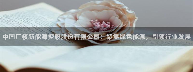 新宝GG勒55312:中国广核新能源控股股份有限公司:聚焦绿