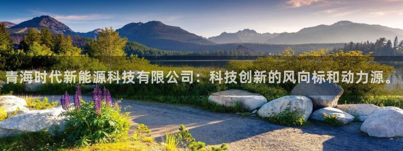 新宝gg计划:青海时代新能源科技有限公司:科技创新的风向标和