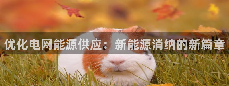 新宝GG跑路:优化电网能源供应:新能源消纳的新篇章