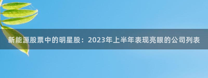 新宝gg账户注册:新能源股票中的明星股:2023年上半年表现