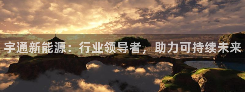 新宝gg测速登录：宇通新能源：行业领导者