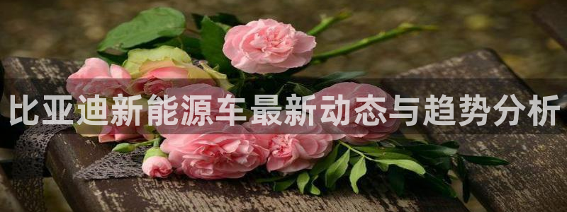 新宝GG反点:比亚迪新能源车最新动态与趋势分析