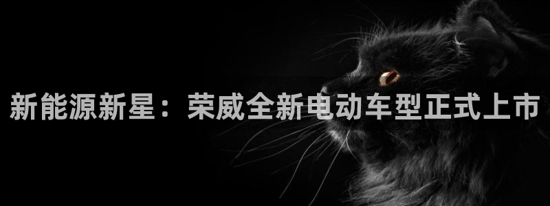 新宝GG玩家:新能源新星:荣威全新电动车型正式上市