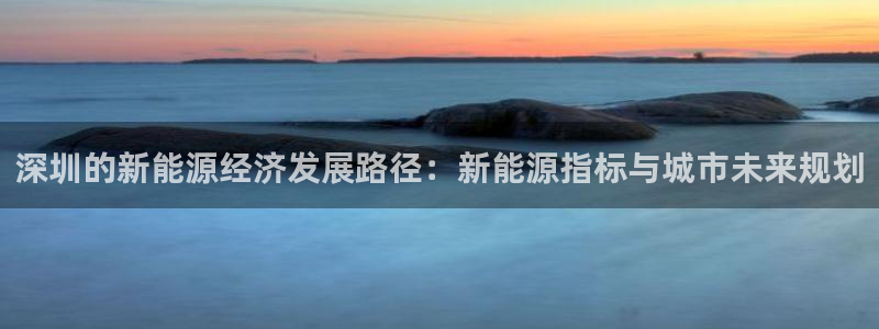 新宝 gg 下载:深圳的新能源经济发展路径:新能源指标与城市