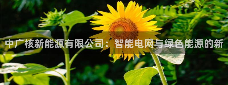 新宝gg注册q -26880:中广核新能源有限公司:智能电网