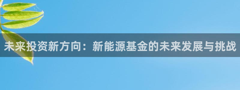 新宝gg-创业奇迹:未来投资新方向:新能源基金的未来发展与挑