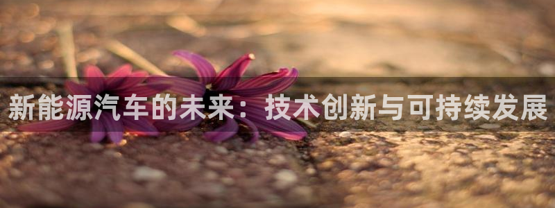 新宝gg平台下载安装:新能源汽车的未来:技术创新与可持续发展