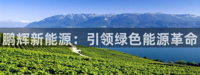 新宝gg测试:鹏辉新能源:引领绿色能源革命