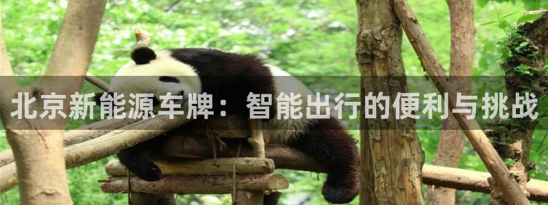 新宝GG握78778：北京新能源车牌：智