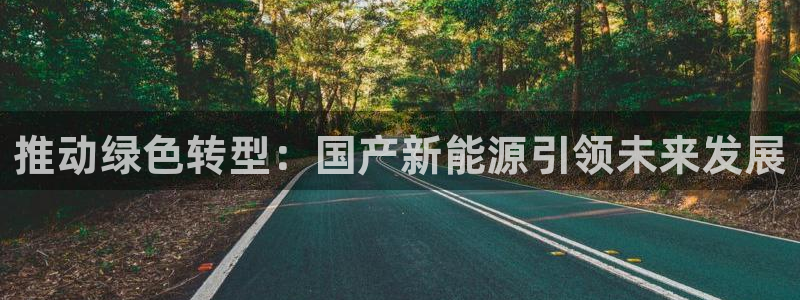 新宝gg平台开户：推动绿色转型：国产新能