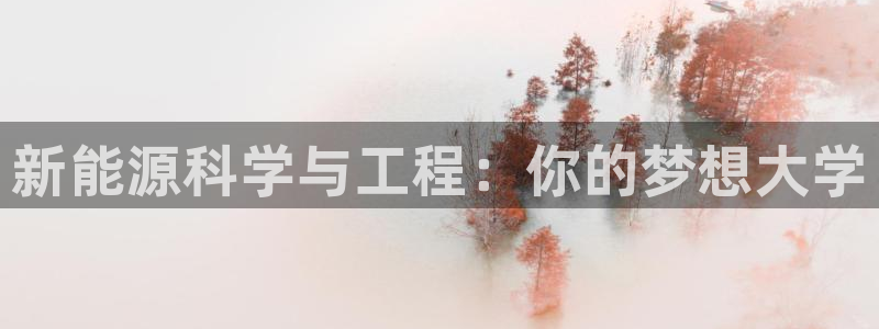 新宝gg平台怎么样