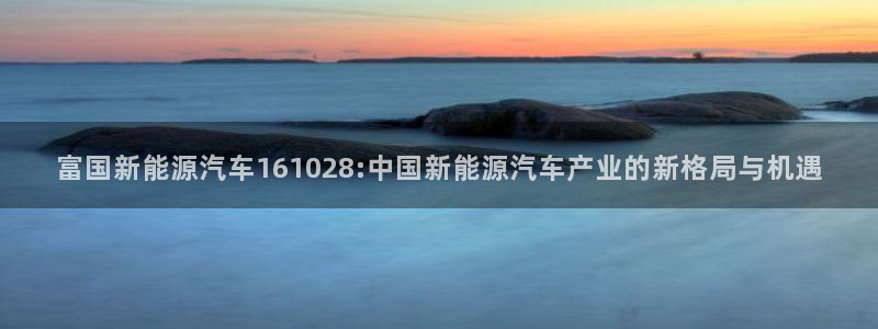 新宝gg平台注册:富国新能源汽车161028:中国新能源汽车