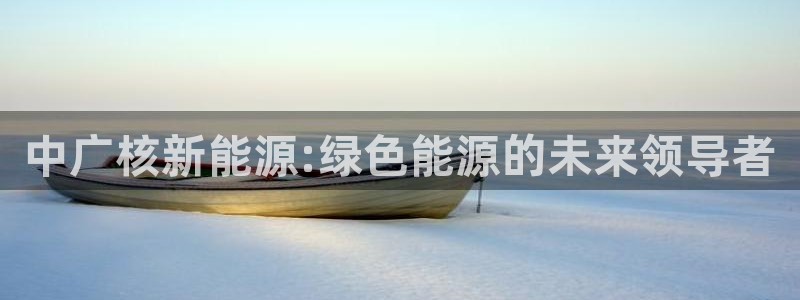 11新宝gg：中广核新能源:绿色能源的未