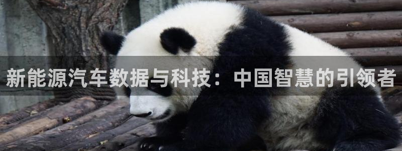 新宝gg注册网站:新能源汽车数据与科技:中国智慧的引领者