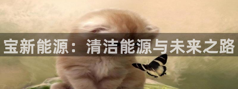 新宝gg入口网址:宝新能源:清洁能源与未来之路
