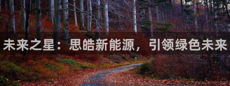 新宝GG的老板：未来之星：思皓新能源，引