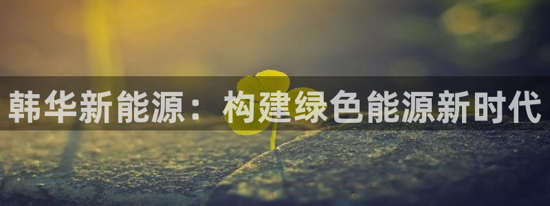 新宝_GG奇迹：韩华新能源：构建绿色能源