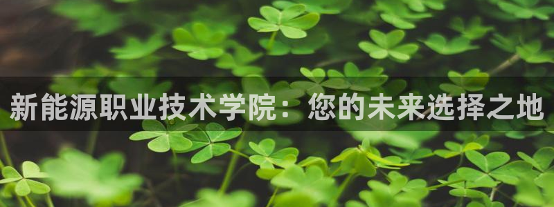 新宝gg游戏登录：新能源职业技术学院：您